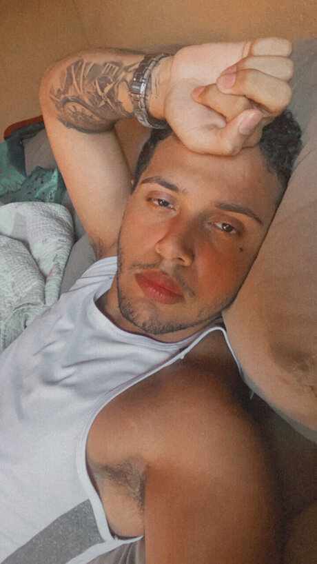 vtr 16 porn star galleries