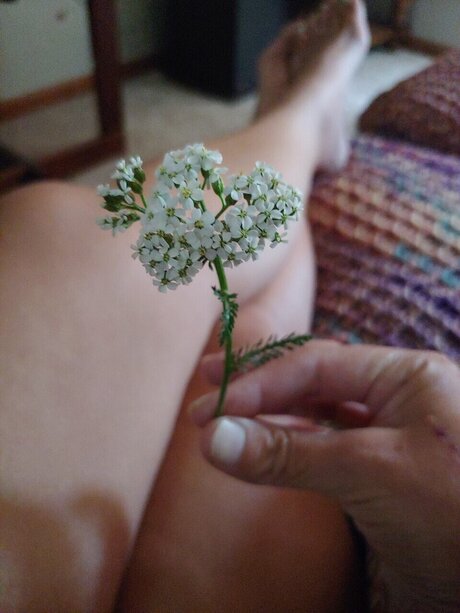 Madira Vega Antares model erotic photo