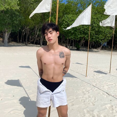 FOLLOWOZZO hd star galleries