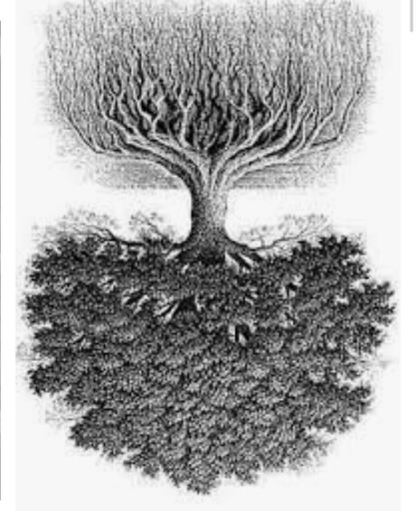 ball onlyfans pretty pics