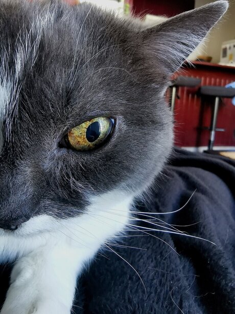 Midna pornstar hot img