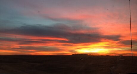 Summer Sin actress img