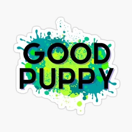 Cricket star top image