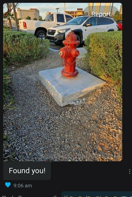 bellaenchantressxxx star hd gallery