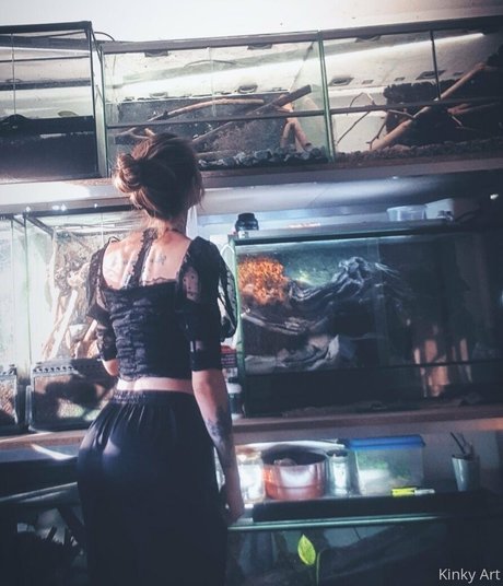 artnvenom star erotic galleries