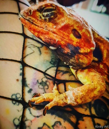 artnvenom model pretty archive