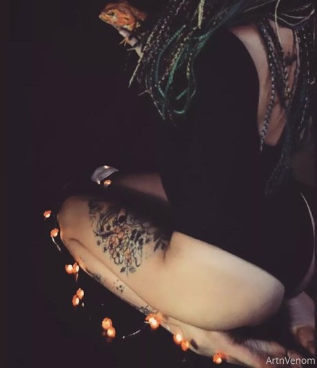 artnvenom model art archive