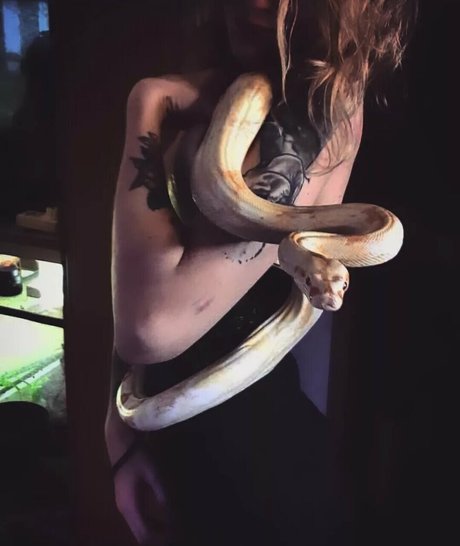 artnvenom star top img