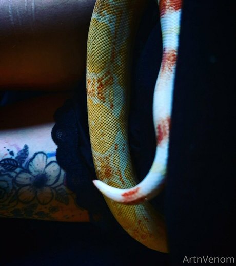 artnvenom naked model images