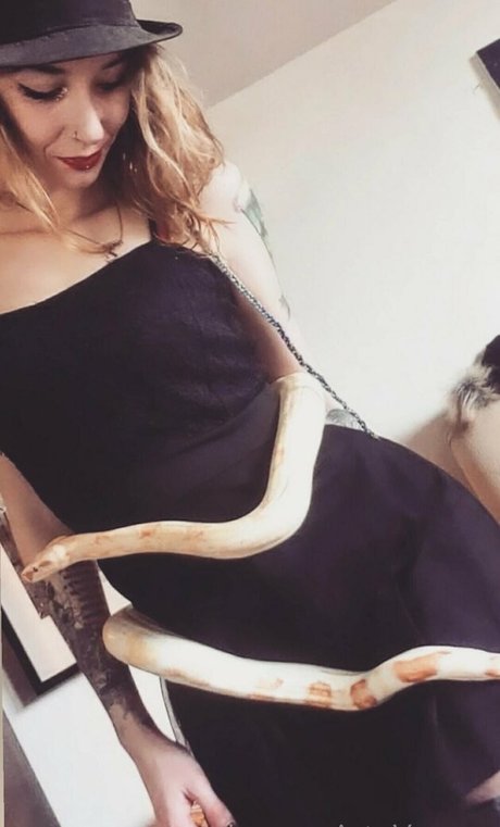 artnvenom pornstar perfect image