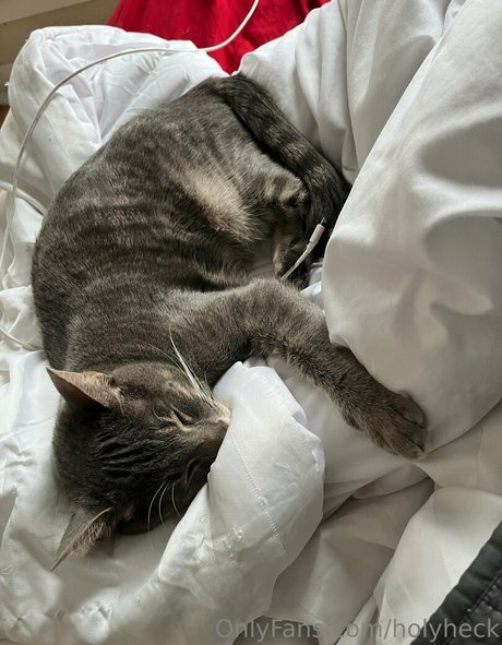 holyheck pornographic actress pictures