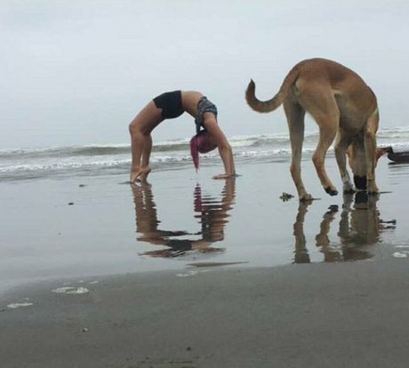 accidentallydelicious best pornstar galleries