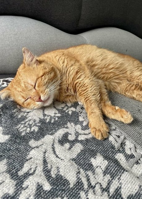 Suzanna De Rose art actress picture