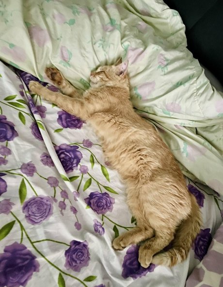 asian tranny onlyfans free sex galleries