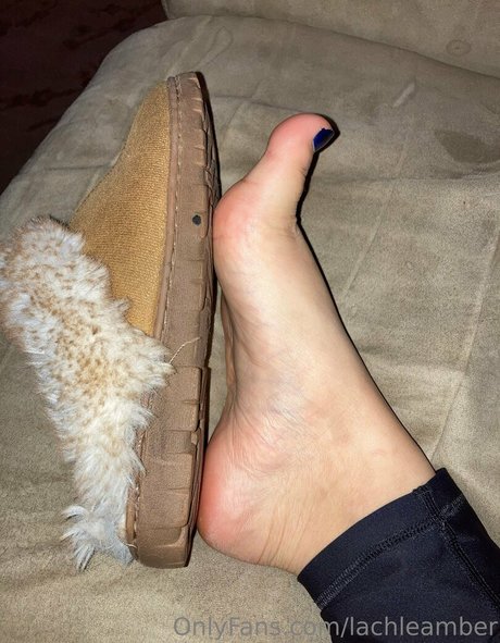 lachleamber adult star photo