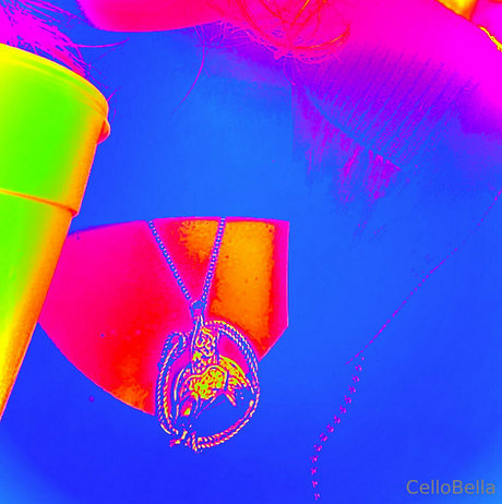 cellobella7 high quality pornstar pic