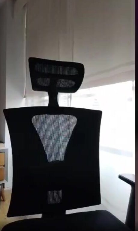 Daniela Derly pornstar art images