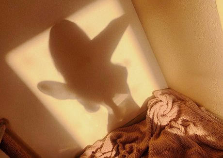 Rachel Blossom model top pics