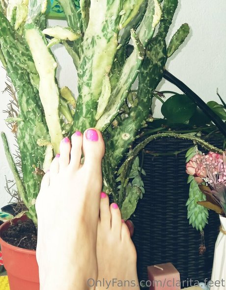 clarita feet pornstar top galleries