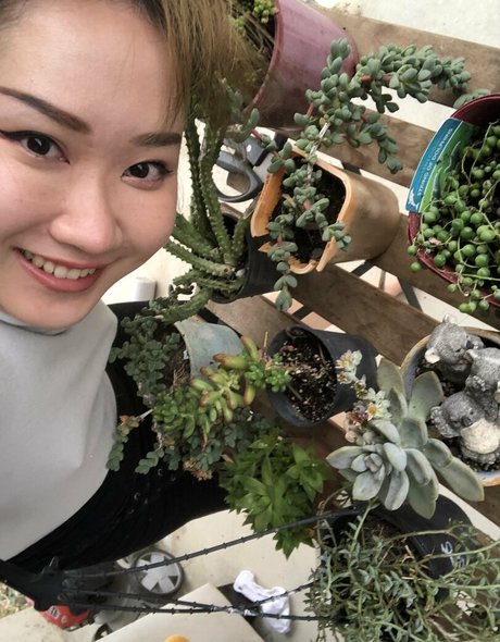 melissa cho chang free nudes star galleries