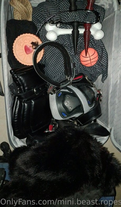 shemale outdoor onlyfans nude photo