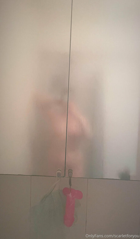 Blaithin De Burca free star archive