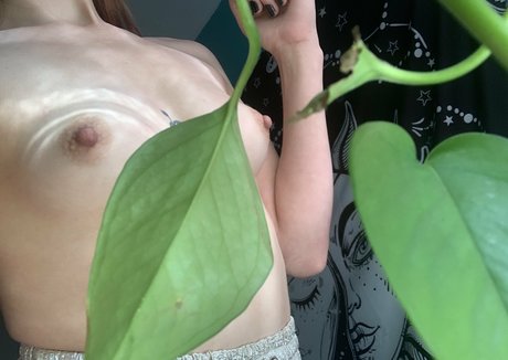 maplemaya free pornstar photo