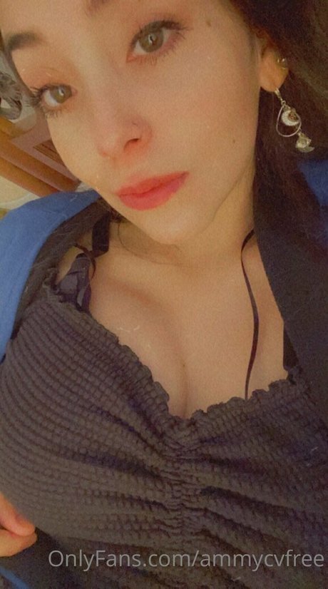 ammysfree art star galleries