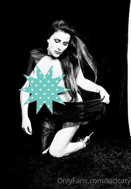 soylu dechile star best archive