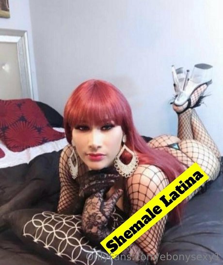 ebonysexy1 pornstar image