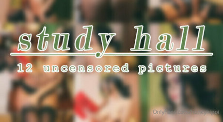 honeyhippi high quality star gallery