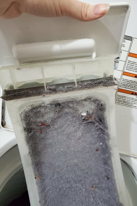 toepazfeetures sex pornstar archive