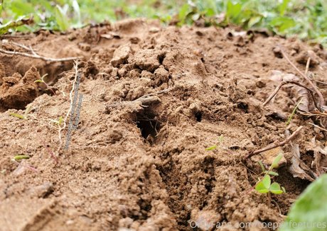 big ass lingerie onlyfans pornos photos