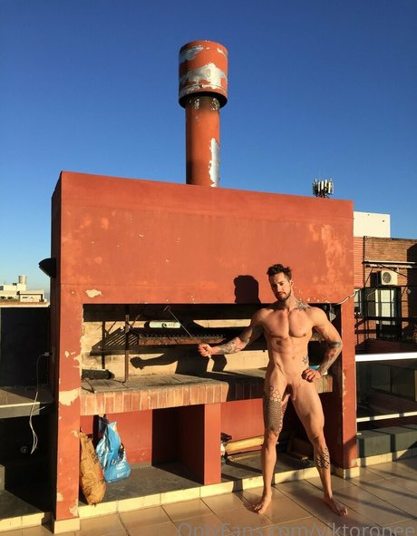 viktoronee high quality star image