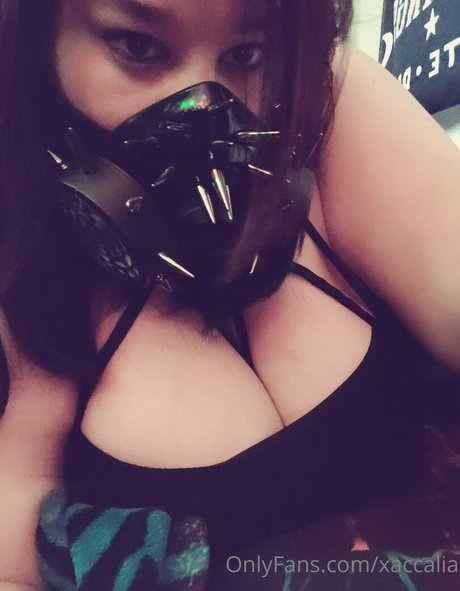 xaccalia pornstar galleries