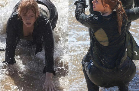 Bryce Dallas Howard pornographic actress pictures