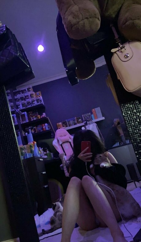 lilshitterpoopie hot star archive