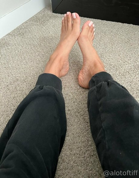 alotoftiff free pornstar archive