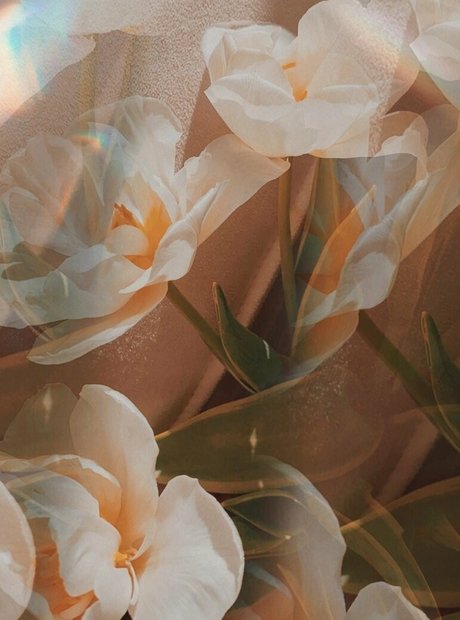 minidivaonly Profile Photo