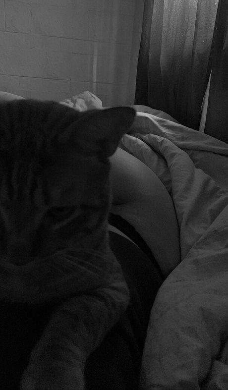 star teen onlyfans erotic gallery