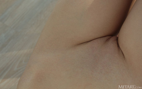MetArtVIP star pornographic gallery