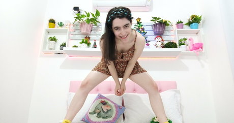 vicavitoria high quality star galleries