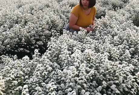 footjob onlyfans exclusive picture