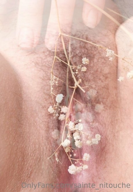 sainte nitouche pornstar naked picture