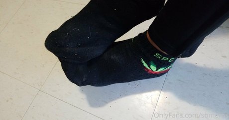 sbmeros star art photos