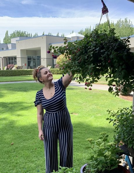 mama cabbage vip star hd galleries