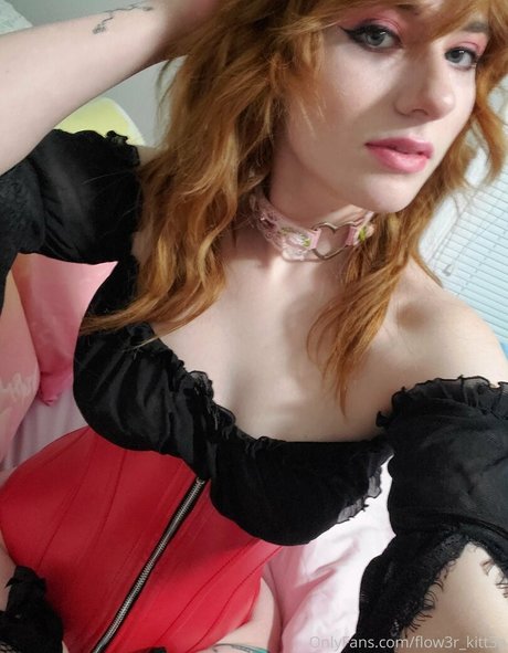 flow3r kitt3n model perfect pictures