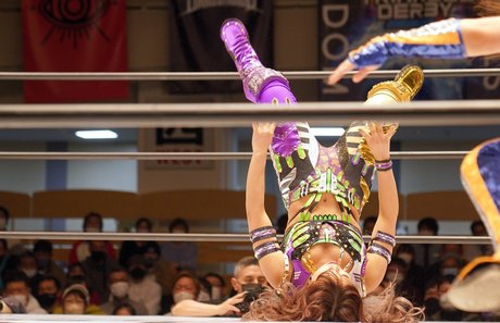 european onlyfans free xxx archive