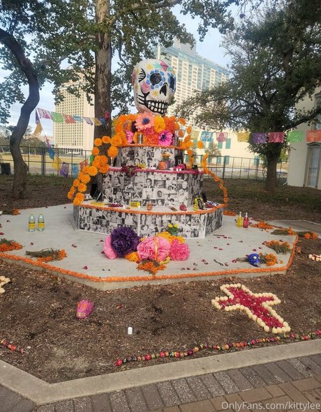 kittylee pornstar beautiful images