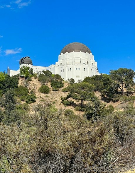 hairy armpits onlyfans beautiful nude photo
